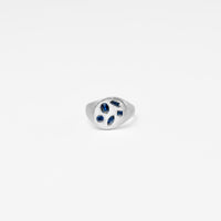 【 NEW 】Gem signet ring