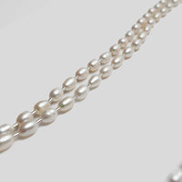 LIMITED COLLECTION 【Freshwater pearl ball chain necklace（rice/long)】