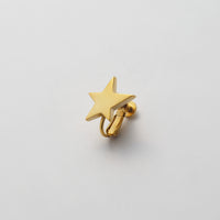 star earring ( small )