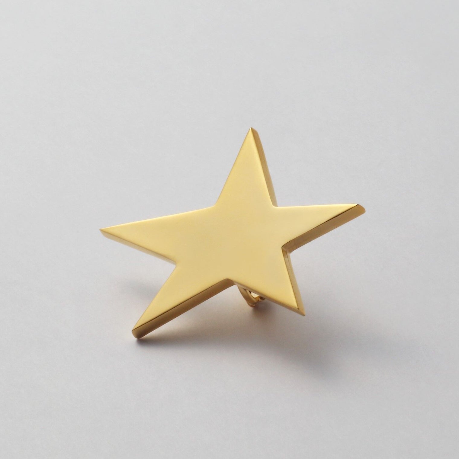 star earring ( large )