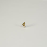 Tiny star pierce (gold)